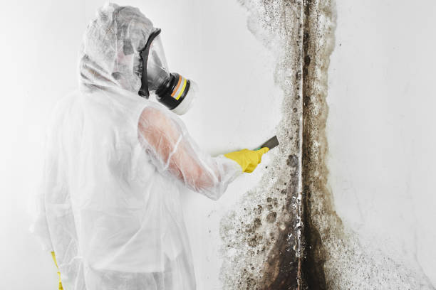 HVAC Mold Remediation