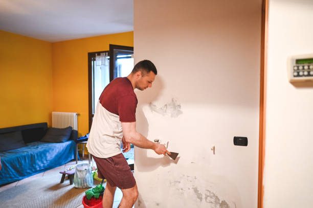 Best Industrial Mold Remediation in Town And Country, WA